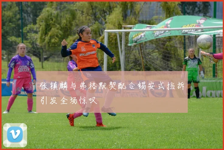 张镇麟与弗格默契配合锡安式挡拆引发全场惊叹