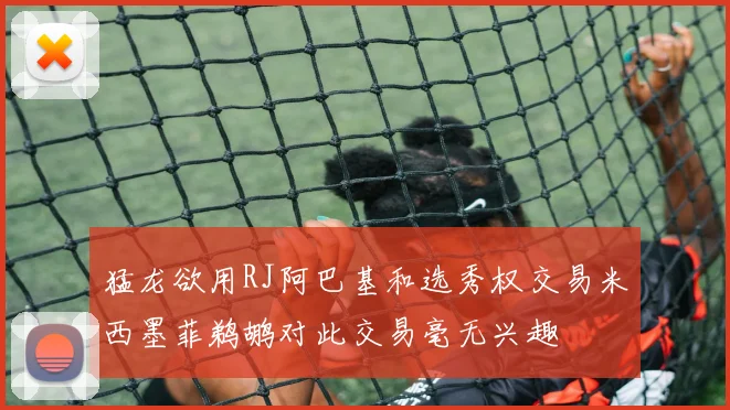 猛龙欲用RJ阿巴基和选秀权交易米西墨菲鹈鹕对此交易毫无兴趣